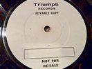 Triumph WHITE LABEL LP 'JOE MEEK & The Blue Men'   I Hear a New World