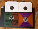 SLEEPING DOGS WAKE Understanding & Threnody LPs sugarcubes cassandra complex
