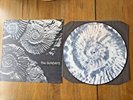 THE SUNDAYS  -  READING, WRITING & ARITHMETIC 1990 UK  PICTURE  DISC ROUGH TRADE