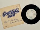 *VINYL 45 RPM* Great Lakes Band *WILL O THE WISP* Music *OHIO 7