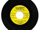 RARE DOO WOP 45 PETER CRAWFORD THERE GOES A YOUNG LOVE ON SANDY  VG++  ORIGINAL