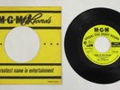 THE STANDELLS ZEBRA IN THE KITCHEN 45 DJ PROMO MGM K13350 Rare 60s Garage Rock