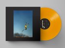 Yeah Yeah Yeahs Cool It Down (Vinyl) 12