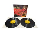 Metallica - The Devil, Shaved Soap And Gasoline 1987 Vinyl Demo Compilation RARE