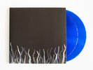 Pelican City of Echoes (Vinyl) (UK IMPORT)