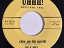 The Ravin's - Crow & Magpies / Seven Flowers 45 RARE Surf Garage Rock Psych Folk