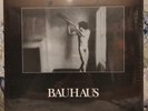 Bauhaus In The Flat Field 4 A.D. limited edition 2LP Vinyl180 still sealed rare