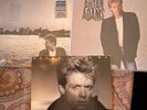 BRYAN ADAMS 3 VINYL LP LOT-Reckless-you want you got it-Into The Fire-