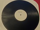 TEST PRESSING: Diana's Rootin Tootin Wild Teenage Rock N Roll Party  - VINYL LP