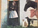 2004 Reissue Of Rare Psych LP Record - VASHTI BUNYAN - JUST ANOTHER DIAMOND DAY
