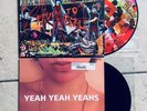 Yeah Yeah Yeahs Fever To Tell picture disc vinyl and Self Titled 12
