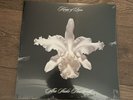 Kings of Leon - Aha Shake Heartbreak Vinyl LP Album