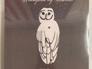 TRAMPLED BY TURTLES – PALOMINO - VINYL LP NEW - A31