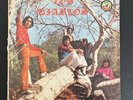 Los Diablos self titled 1970 Musimex MM 5004 LP Latin Garage Psych