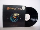 JETHRO TULL Catfish Rising UK VINYL LP+EP set from 1991 CHRYSALIS DCHR 1886