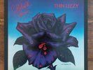 Black Rose (A Rock Legend), by Thin Lizzy UK 1979 Vertigo