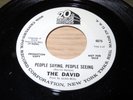 THE DAVID 45 