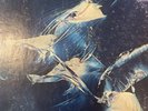 6 Jazz Record Value Lot- Weather Report- Air- Herbie Hancock- Bireli Lagrene -1
