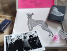 Locas In Love – Use Your Illusion 3 & 4 - Ltd. Vinyl Box - NM