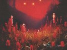 Silent Planet Superbloom (Vinyl) 12