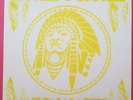 Brother O'Brother ‎– Neon Native LP Pinwheel Vinyl Garage Rock Indie 2018 US NM