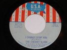 The Cherry Slush I Cannot Stop You Don't Walk Away 45 Rpm Record U.S.A. 895 VG+