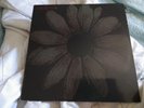 Cardiacs - Is This The Life - 12