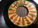 DANDY - WE ARE STILL RUDE - VERY GOOD