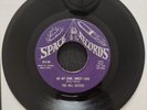 Rare Original Soul Rola 45 The Hill Sisters Oh My Love, Sweet Love (Space)