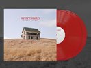 False Light by White Ward (Record, 2023)