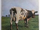 PINK FLOYD ATOM HEART MOTHER ODEON OP80102 Japan INSERT RED VINYL VINYL LP