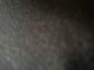 SnoDog WHITE, RED, SPOTIFY, ALT LPs Inc P&p
