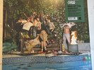 LAMBRINI GIRLS - Who Let The Dogs Out - Vinyl (LP)