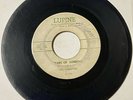 Primettes 1960 FIRST SUPREMES Pre Motown 45 Tears Of Sorrow LUPINE G+/VG- HEAR