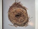 A Ghost Is Born by Wilco (Record, 2005)