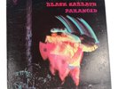 Black Sabbath Paranoid Vinyl LP 1970 Warner Bros Vintage Record
