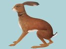 Vashti Bunyan Lookaftering 20th Anniversary 2LP Expanded Edition [New & Sealed]