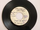 THE PRECIOUS FEW ( pre WILD FLOWERS) rock GARAGE MODDY 60's ARIZONA -