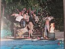 LAMBRINI GIRLS - WHO LET THE DOGS OUT VINYL LP (NEW)