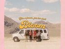 Carpool Tunnel - Bloom - 12