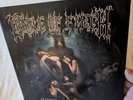 Cradle Of Filth - Hammer Of The Witches, 2015. 2LP Picture Disc.