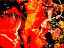 Gabor Szabo - Bacchanal (Vinyl LP)