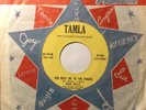 60s Motown - MARY WELLS - You beat me to the punch - 1962 CANADA TAMLA VG++