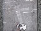Rudimentary Peni The E.P.'s Of R.P Extended Plays 2 EP auf einer LP