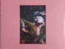 yley Williams – Flowers For Vases & Petals For Armor Vinyl