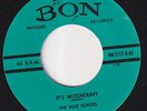 The BLUE ECHOES * 1959 ROCKABILLY ROCK'N'ROLL REISSUE 45 * Listen