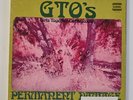 GTO’s Permanent Damage White Label Promo Vinyl Record LP Psych Acid Zappa
