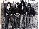 Ramones - Self Titled Vinyl 1976 LP - Sire  SASD-7520