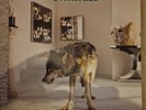 Grinderman 2 Vinyl Lp Nick Cave