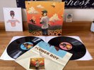 Tyler, The Creator – Scum Fuck Flower Boy 2017 Vinyl LP Poster Hip Hop Soul Funk